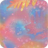 528 62 Rainbow Fossil Fern